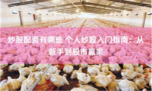 炒股配资有哪些 个人炒股入门指南：从新手到股市赢家