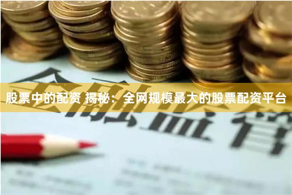 股票中的配资 揭秘:全网规模最大的股票配资平台